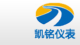 金湖桃子影院在线观看儀表有限公司LOGO