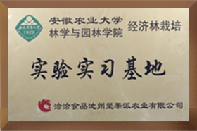 安農大實驗實習桃子视频在线观看高清免费视频