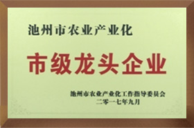 市級龍頭一色桃子成人片免费观看
