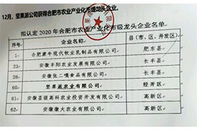 2020年合肥市農業產業化市級龍頭一色桃子成人片免费观看